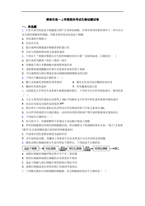 渭南市高一上学期期末考试生物试题试卷