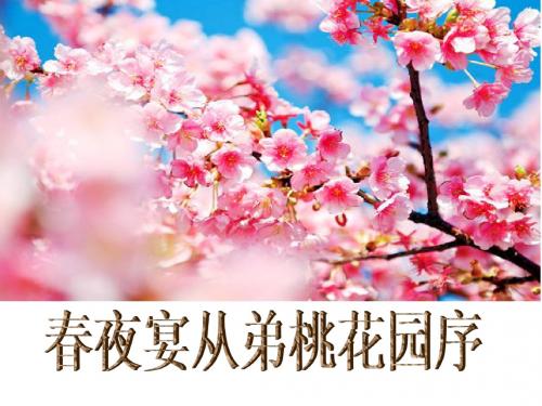 春夜宴从弟桃花园序--(整理)