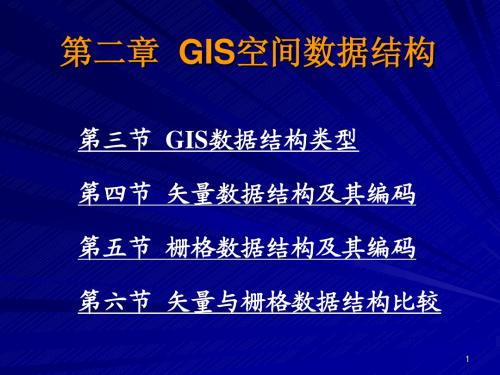 南京大学 第二章 GIS数据结构3