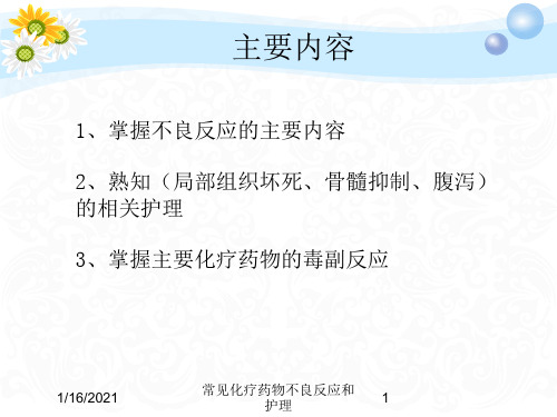 常见化疗药物不良反应和护理培训课件