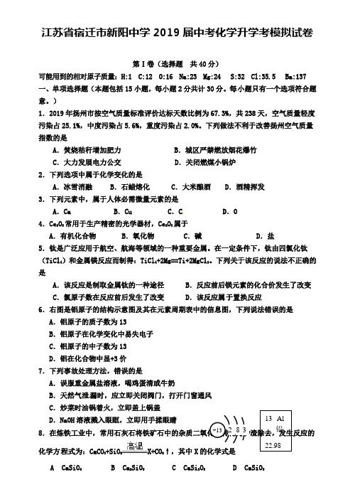 江苏省宿迁市新阳中学2019届中考化学升学考模拟试卷+(精选10套中考模拟卷)