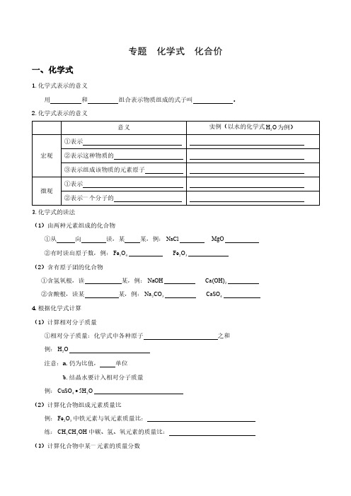 中考专题化学式化合价