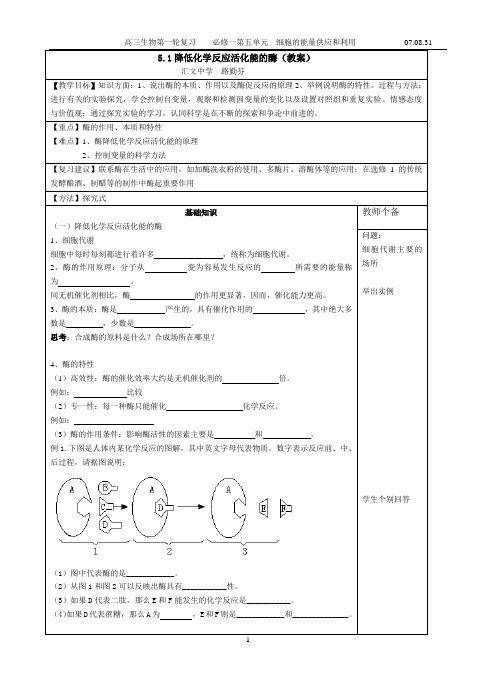 51降低化学反应活化能的酶(教案)