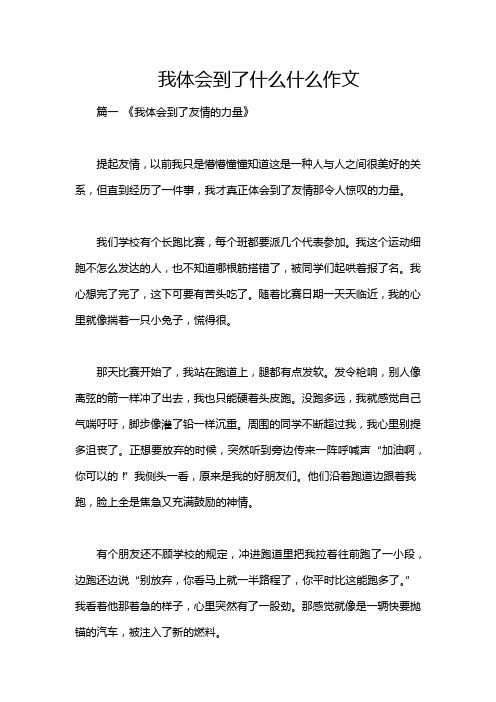 我体会到了什么什么作文