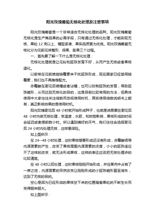 阳光玫瑰葡萄无核化处理及注意事项