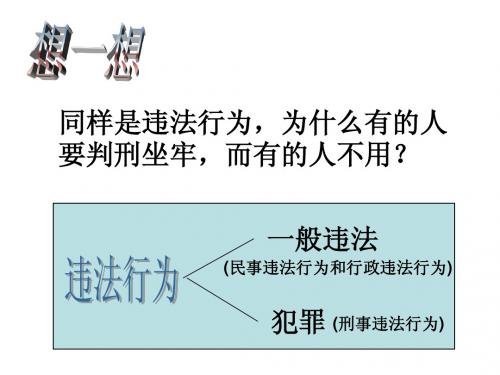 思想品德七下违法与犯罪