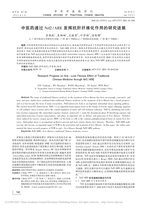 中医药通过Nrf2_ARE发挥抗肝纤维化作用的研究进展_吕艳杭