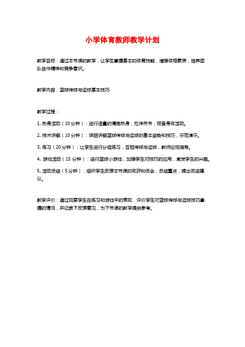 小学体育教师教学计划