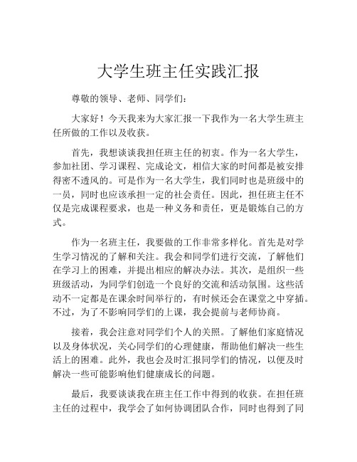 大学生班主任实践汇报