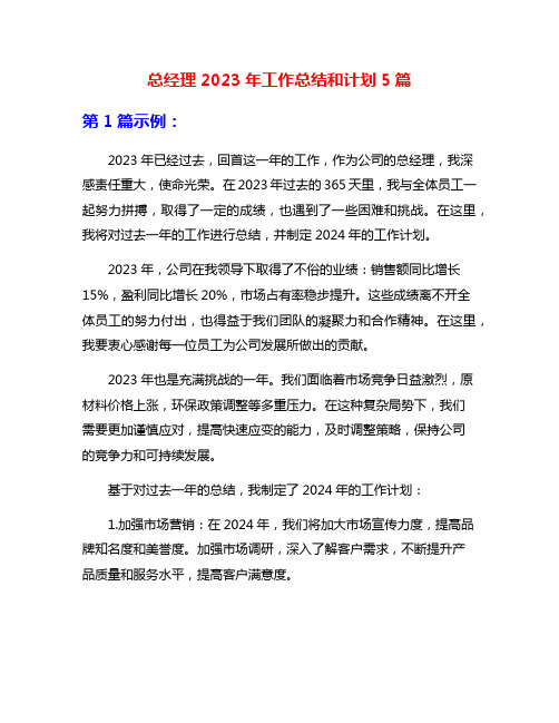 总经理2023年工作总结和计划5篇