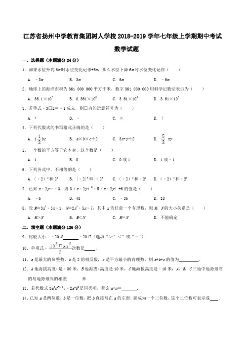 江苏省扬州中学教育集团树人学校2018-2019学年七年级上学期期中考试数学试题