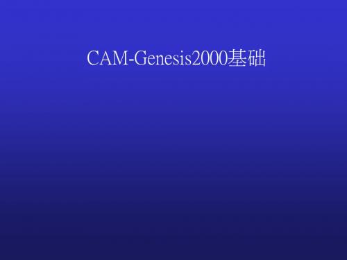 GENESIS全套资料制作流程解析