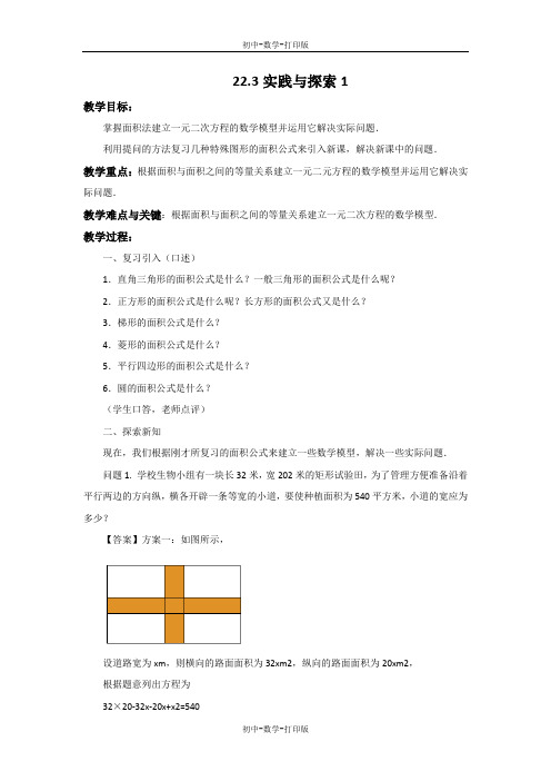 华师大版-数学-九年级上册-22.3 实践与探索1 教案 (2)