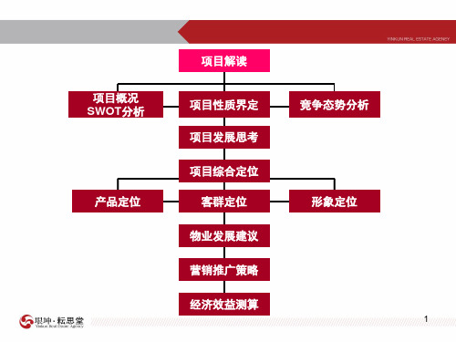 安徽淮北制药厂地块项目前期策划报告