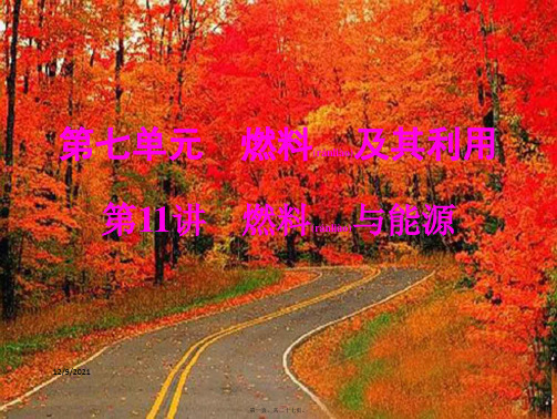 中考化学总复习 第一部分 教材梳理 阶段练习 第七单元 燃料及其利用 第11讲 燃料与能源课件