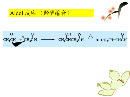 常见的人名反应