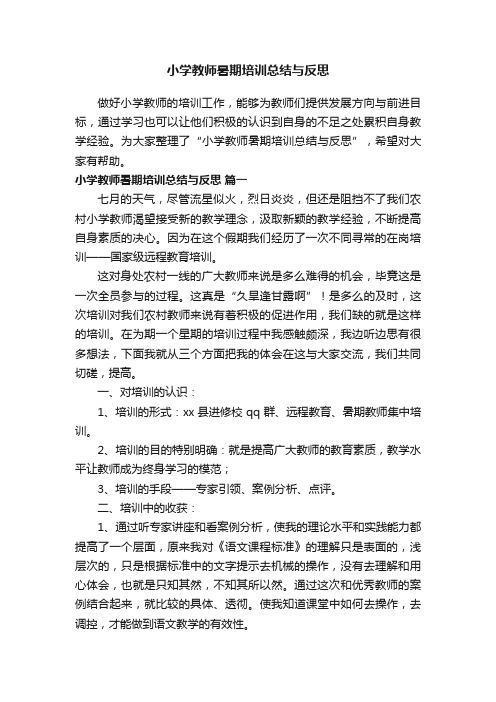 小学教师暑期培训总结与反思