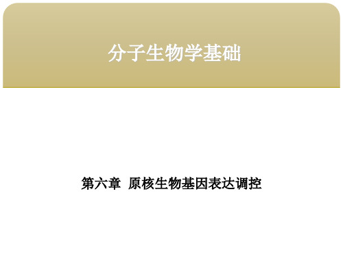 分子生物学基础第六章原核生物基因表达调控 第二节原核基因表达的调控