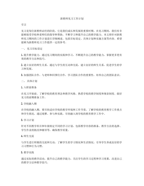 新教师见习工作计划