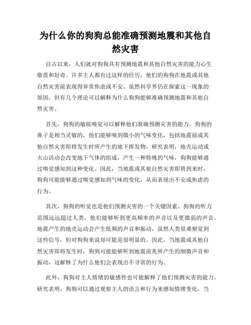 为什么你的狗狗总能准确预测地震和其他自然灾害