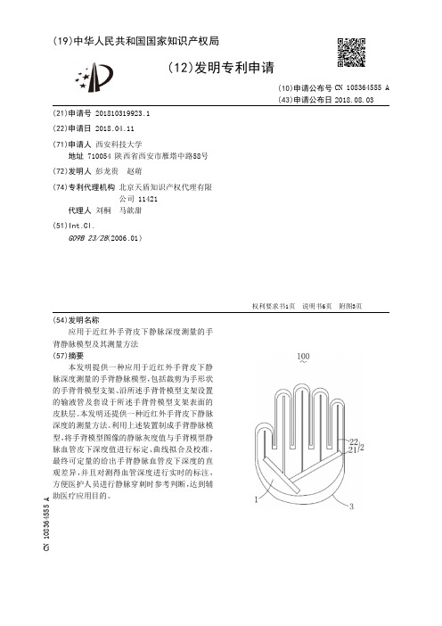 应用于近红外手背皮下静脉深度测量的手背静脉模型及其测量方法[