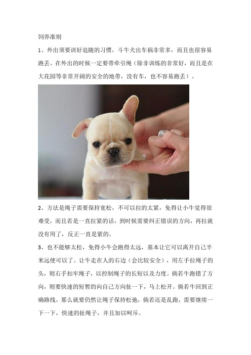 法国斗牛犬日常饲养注意事项