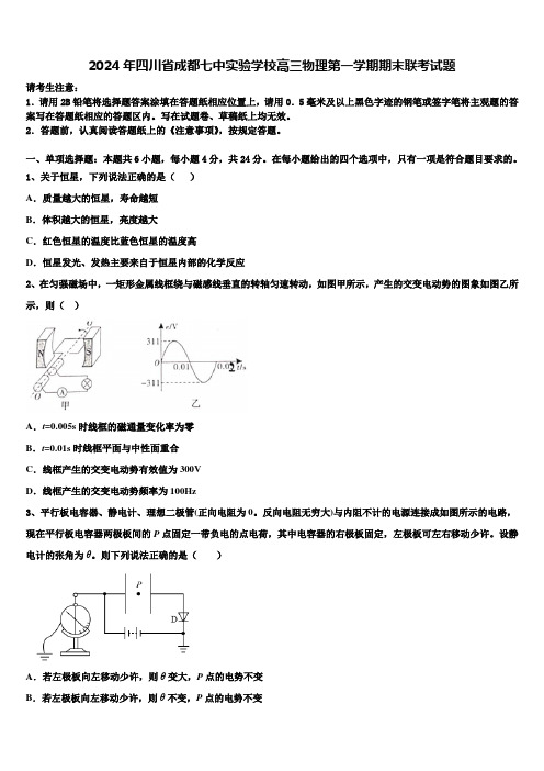 2024年四川省成都七中实验学校高三物理第一学期期末联考试题含解析