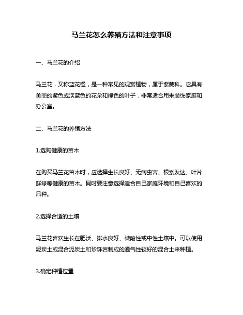 马兰花怎么养殖方法和注意事项