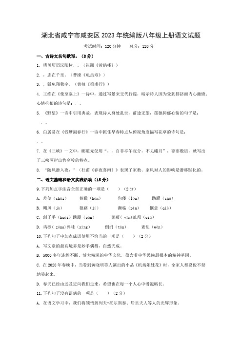 湖北省咸宁市2023-2024学年八年级上学期语文检测卷