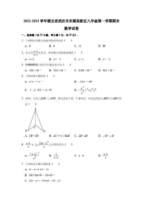 湖北省武汉市东湖高新区2022-2023学年八年级上学期期末考试数学试卷(含答案)