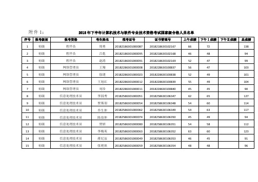 2018年下半年计算机技术与软件专业技术资格考试国家