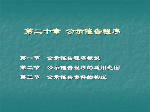 民事诉讼法 民诉第二十章公示催告程序