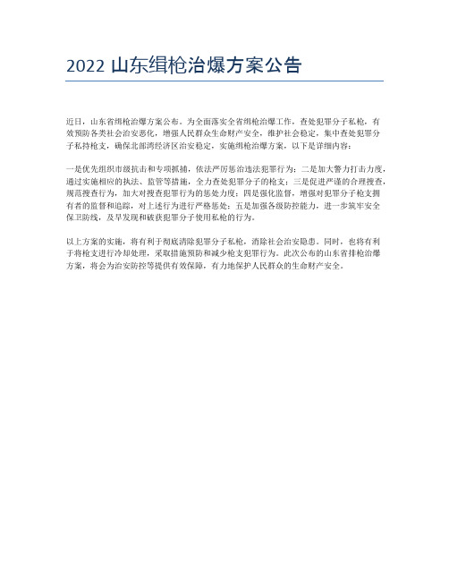 2022山东缉枪治爆方案公告