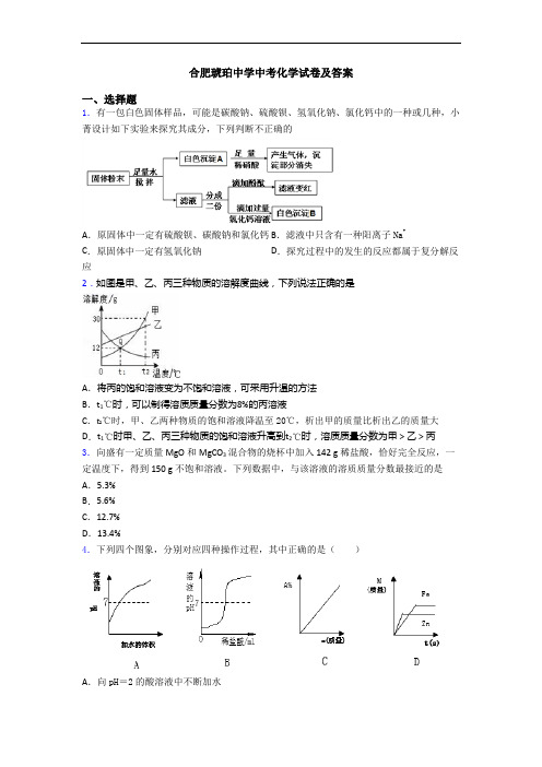 合肥琥珀中学中考化学试卷及答案