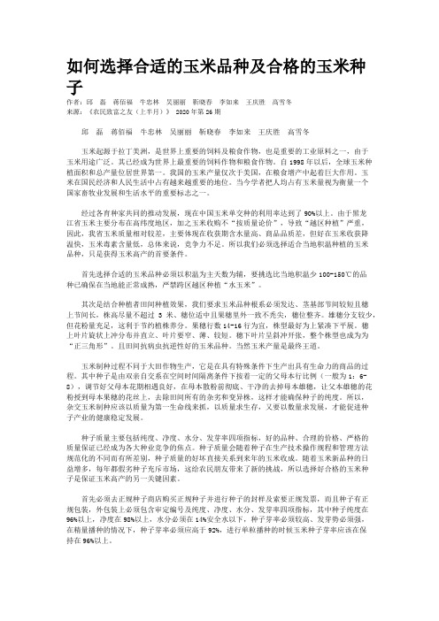 如何选择合适的玉米品种及合格的玉米种子