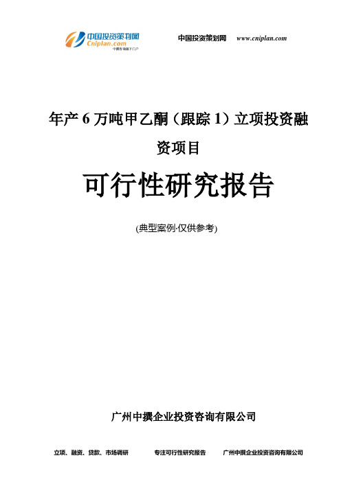 年产6万吨甲乙酮(跟踪1)融资投资立项项目可行性研究报告(非常详细)