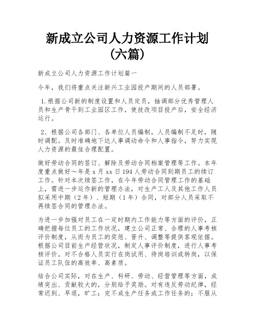 新成立公司人力资源工作计划(六篇)