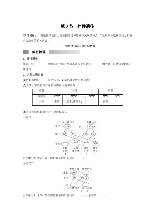 高中生物新教材必修二 同步试卷讲义 第2章 第3节 伴性遗传