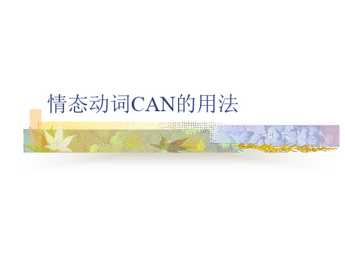 情态动词CAN的用法PPT课件