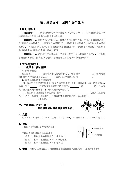 基因在染色体上复习导学案