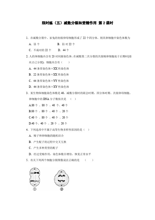 高一生物必修二课时训练： 2.1 减数分裂和受精作用 第2课时含答案