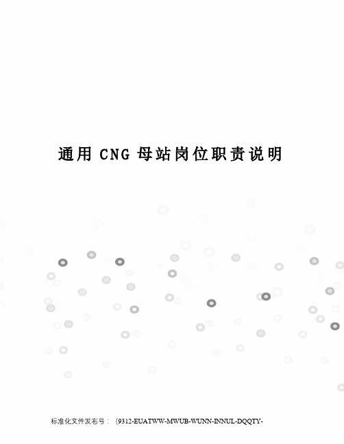 通用CNG母站岗位职责说明