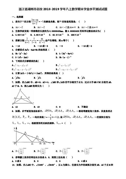 浙江省湖州市名校2018-2019学年八上数学期末学业水平测试试题