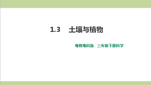 (新教材)粤教版三年级下册科学 1.3 土壤与植物 课件