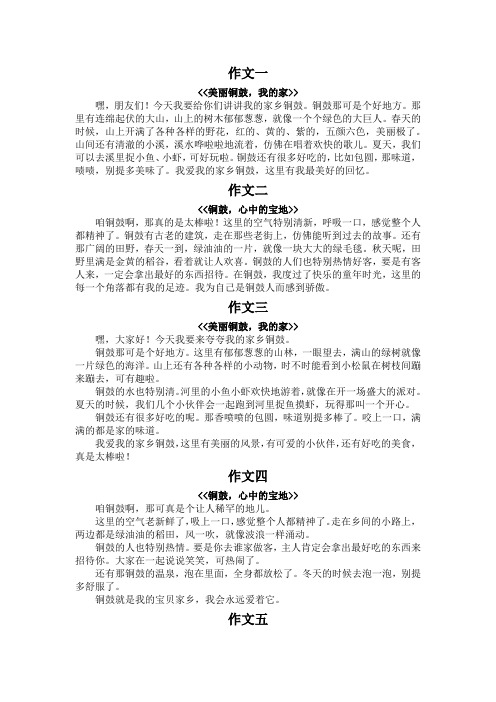 我的家乡铜鼓作文三百字