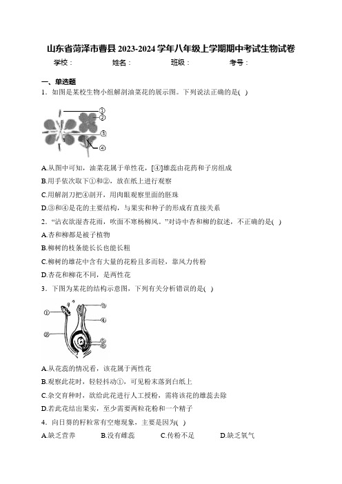 山东省菏泽市曹县2023-2024学年八年级上学期期中考试生物试卷(含答案)