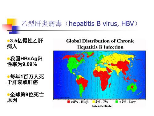 乙肝(ppt文档)