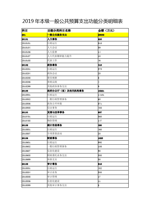 2019年本级一般公共预算支出功能分类明细表