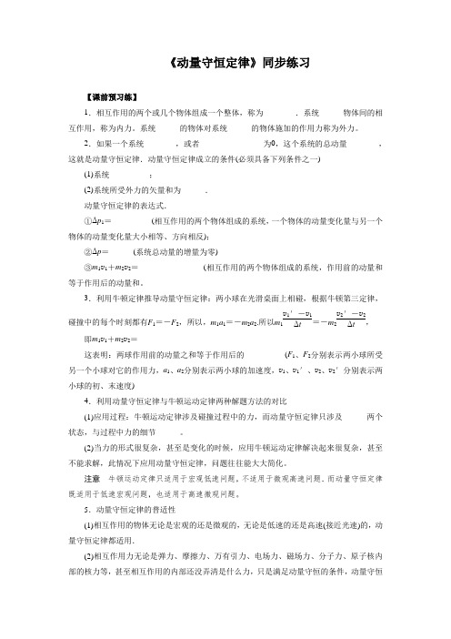 《动量守恒定律》同步练习1