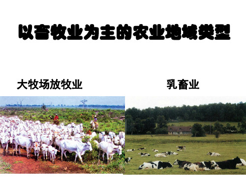3.3 乳畜业 2